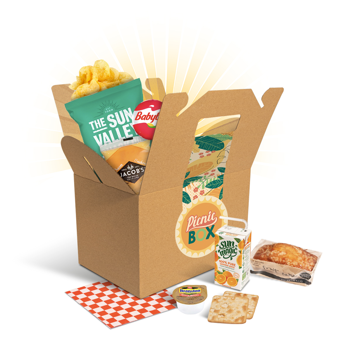 Gift Boxes Carry Box Picnic Edition