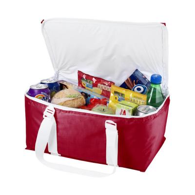 Larvik cooler bag