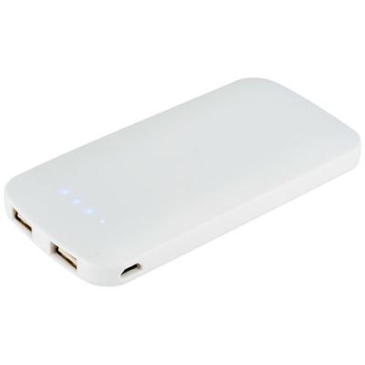 PB-4000 Zippy Slim Dual Power bank