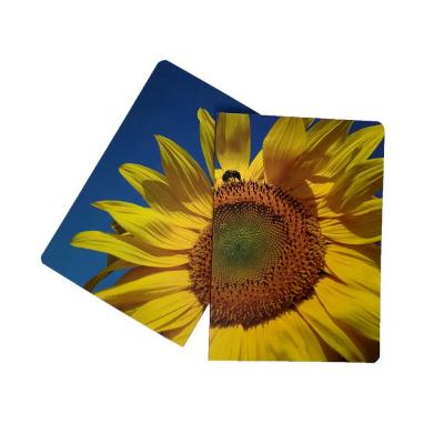 Rampton Ecolour Flexi A5 Notebook
