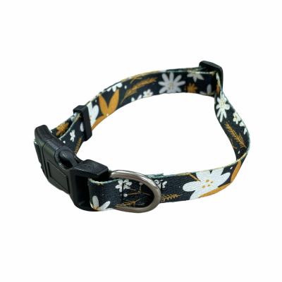 Recycled Pet Dog Collar