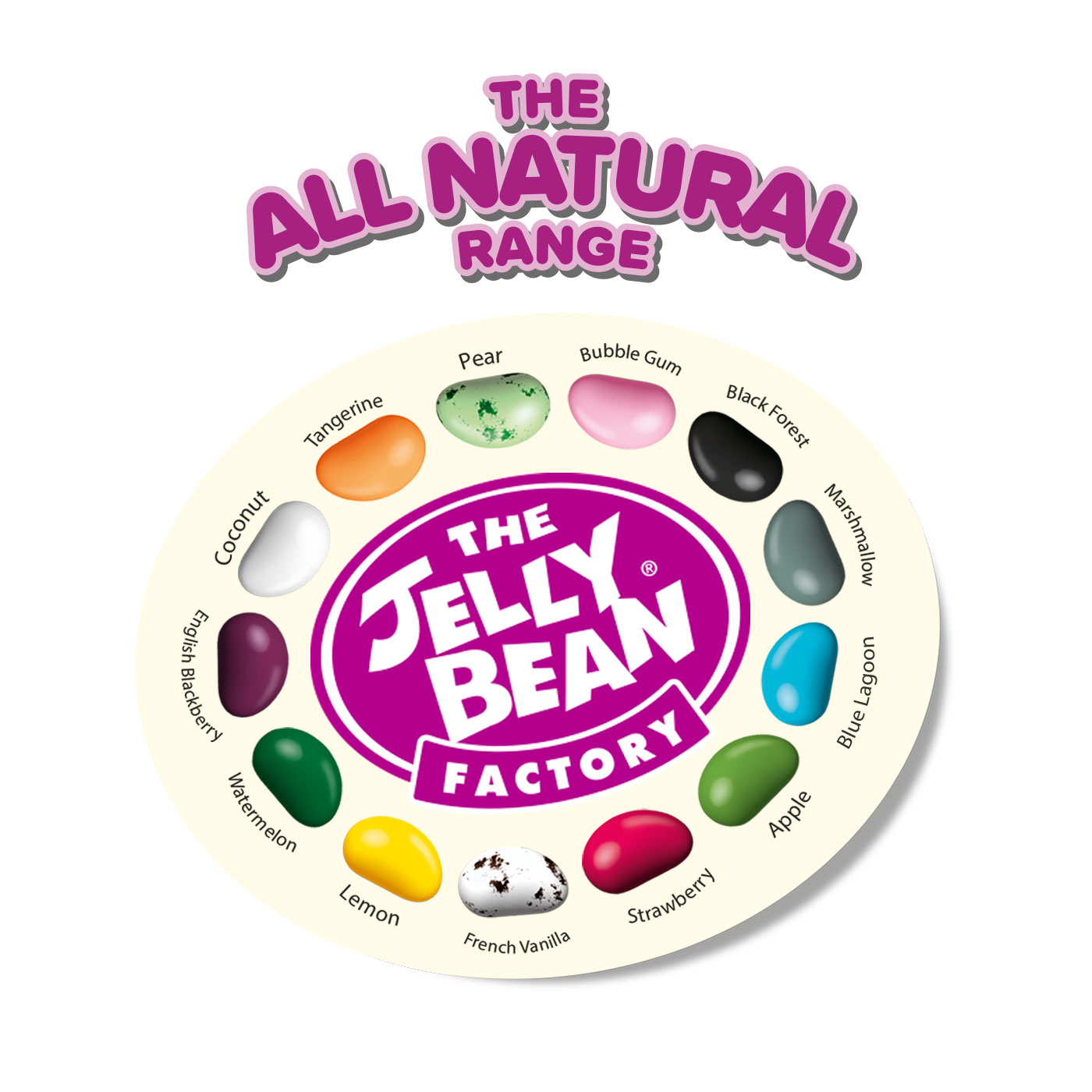 Summer Collection Eco Maxi Pot Jelly Bean Factory